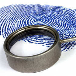 A fingerprint.