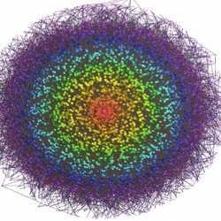 Graphic visualization of a complex network of RNA-RNA interactions in glioma. 