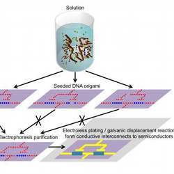 Conductive metal-semiconductor interconnects at sub-five-nanometer line widths could use DNA-templates to guide their self-assembly.