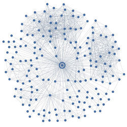 representation of a person's Facebook network neighborhood