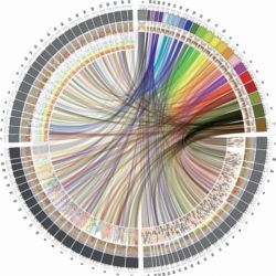 Biological data visualization