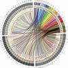 Circle of Life: The Beautiful New Way to Visualize Biological Data