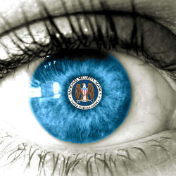 NSA eye