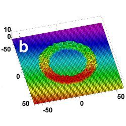 metallized DNA forming the letter O