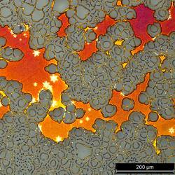 optical microscope image of copper film