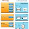 Adding MUSCLE to Multiscale Simulations