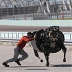 LS3 robot, Boston Dynamics