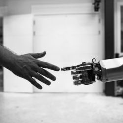 Human, robot hands