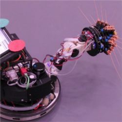 Shrewbot robot whiskers