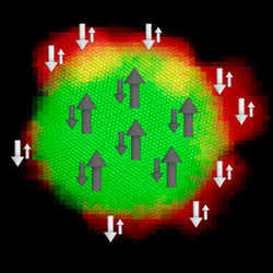 Schematic representation of the antiferromagnetic coupling between a magnetic Fe3O4 soft core and a magnetic Mn3O4 hard shell. 