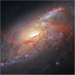 Messier 106 spiral galaxy