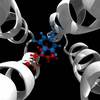 Stanford and Google Team ­p to Simulate Key Drug Receptor