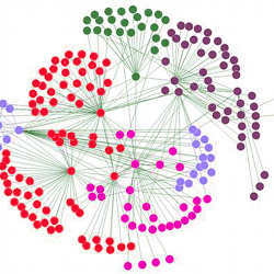 A social network diagram.