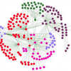 One In, One Out: Oxford Study Shows People Limit Social Networks