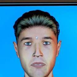 The AVATAR system generates a virtual border agent who interviews passengers on arrival. 