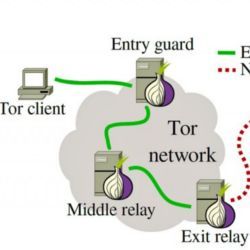 Three-hop Tor circuit