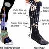 Bio-Inspired Robotic Device Could Aid Ankle-Foot Rehabilitation