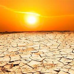 The parched earth of a drought. 