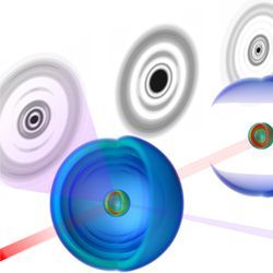 Argon atom in a Rydberg state