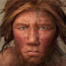 Neandertal female face