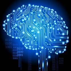 A brain-shaped circuit board.