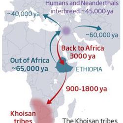 Back to Africa migration map