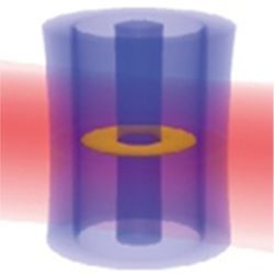 Sodium atom confined in ring