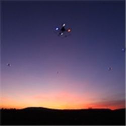 Drones flocking at dusk