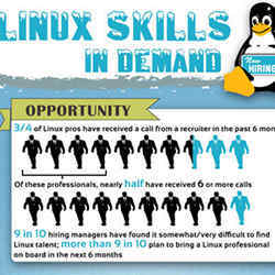 Those seeking to learn Linux have plenty of career opportunities in their future.