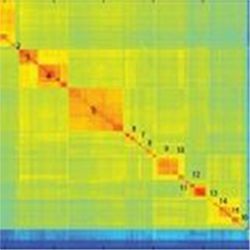 Statistics (computational biology)