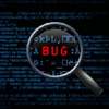 Newest Bug Bounty Touts $10K Rewards, Appeals for Help in Finding Flash Flaws