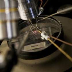 University of Utah electrical engineers test a microplasma transistor by applying a voltage through four electrodes touching the surface of the transistor.