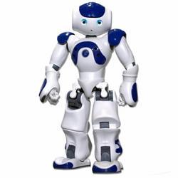 The Nao humanoid robot. 
