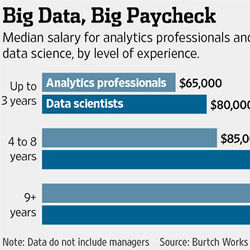 Big Data, Big Paycheck