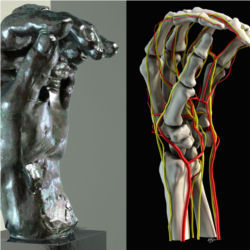 Rodin hand sculpture