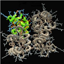 Symmetric Dimer of Dimers puzzle