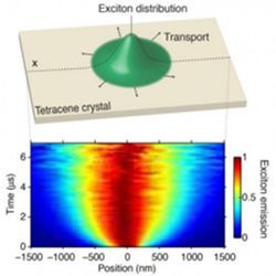 Excitons observed