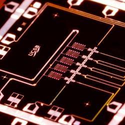 The five cross-shaped devices are the Xmon variant of the transmon qubit placed in a linear array. 