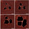 How to Create Nanowires Only Three Atoms Wide with an Electron Beam