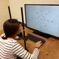 A subject being testing on her ability to quickly identify a target amid visual clutter. 
