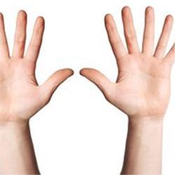 Six-finger hands