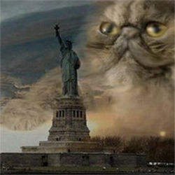 Striking photo of Sandy approach statue of liberty