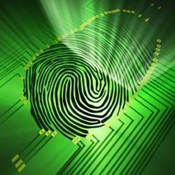 A digital fingerprint.