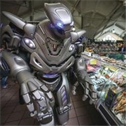 Robot shopper