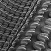 3D Printing Reveals the Power of Shark Skin