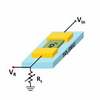 Strongly Interacting Electrons in Wacky Oxide Synchronize to Compute Like the Brain