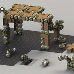 Reconfigurable Roombot modules