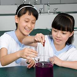 Girls performing a science experiment.