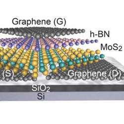 A look at the structure of the new two-dimensional field-effect transistor. 