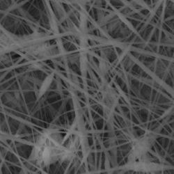 LiFePO4 nanowires